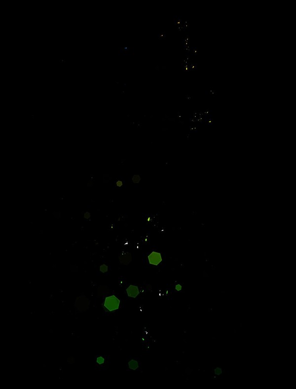 「伝説の暗殺者、転生したら王家の愛され末娘になってしまいまして。」第3話　試し読み