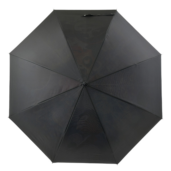 長傘 ジャンプ式＜リメンバー・ミー＞