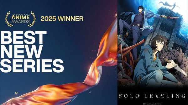 最優秀新シリーズ賞俺だけレベルアップな件