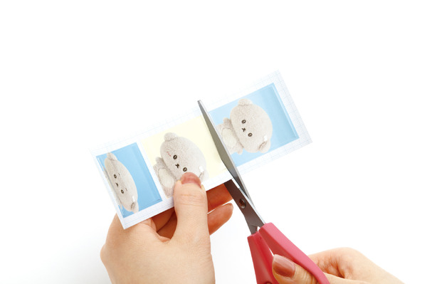 「えらんでコ証明写真風シール」を切り取る（C）2025 SAN-X CO., LTD. ALL RIGHTS RESERVED.