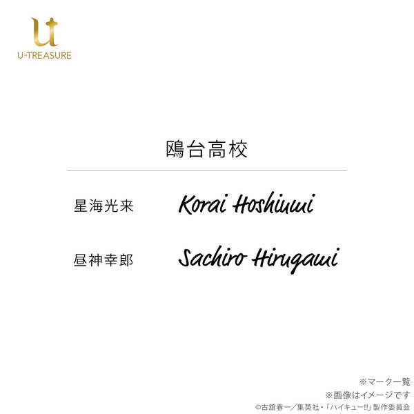 【ハイキュー!!】リングネックレス　 鴎台高校