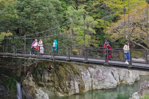 ＜「acosta!」の開催事例＞大分やまくに