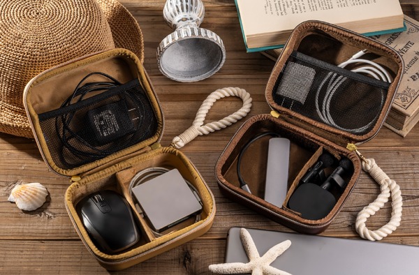 ガジェットケース ゴーイング・メリー号、サウザンド・サニー号