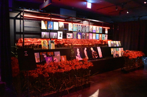 「BLEACH THE LOCUS OF BRAVE Ⅱ」（C）TITE KUBO/SHUEISHA（C）久保帯人／集英社・テレビ東京・ｄｅｎｔｓｕ・ぴえろ