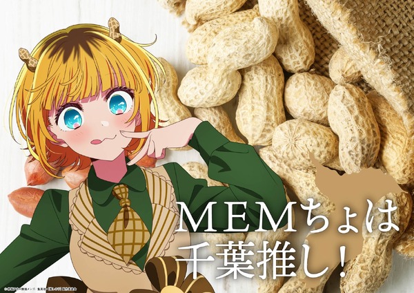 「日本全国project【47都道府県の子】」千葉県ビジュアル