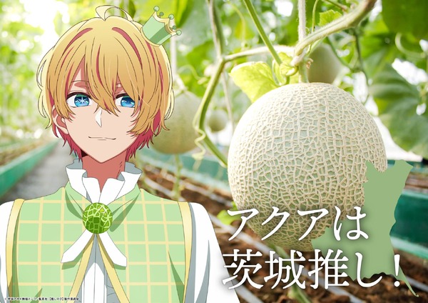 「日本全国project【47都道府県の子】」茨城県ビジュアル