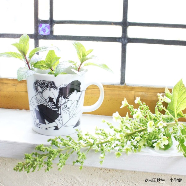 美濃焼スープカップ