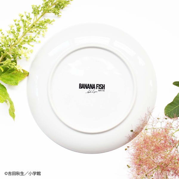 美濃焼パスタ皿