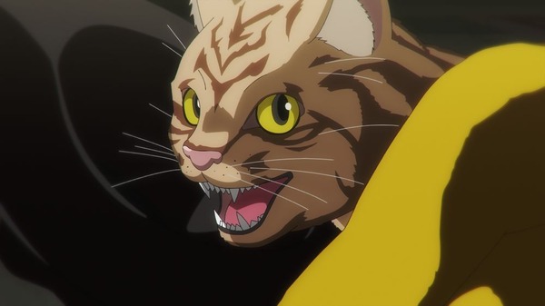 夏アニメ『ニャイト・オブ・ザ・リビングキャット』第1話（Chapter1）「すべてが猫になる」先行場面カット