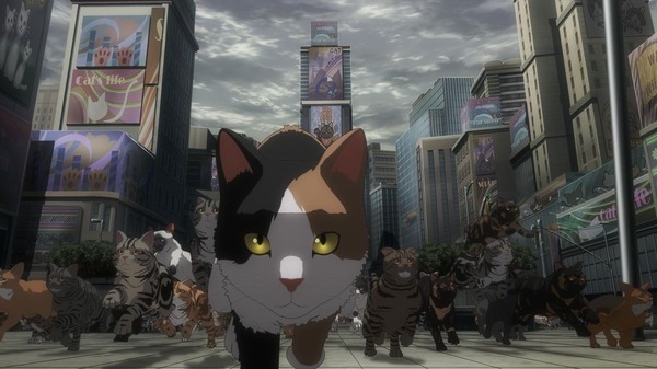 夏アニメ『ニャイト・オブ・ザ・リビングキャット』第1話（Chapter1）「すべてが猫になる」先行場面カット