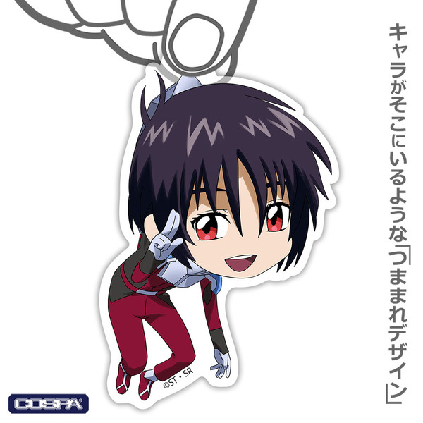 『機動戦士ガンダムSEED FREEDOM』「シン・アスカ アクリルつままれ」