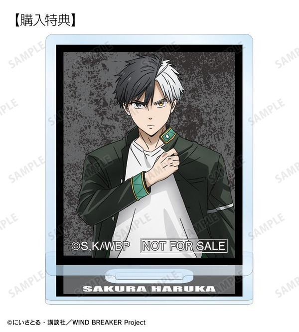桜 遥 ミニアクリルスタンド AMNIBUS限定特典