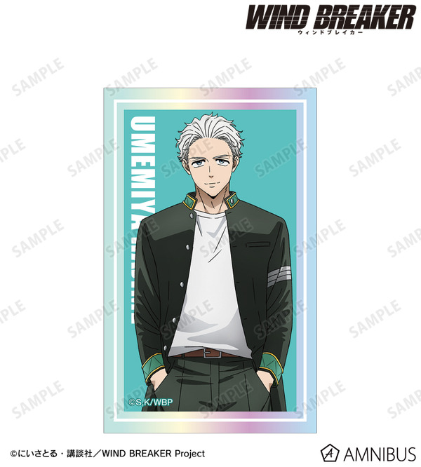 オーロラカードステッカー