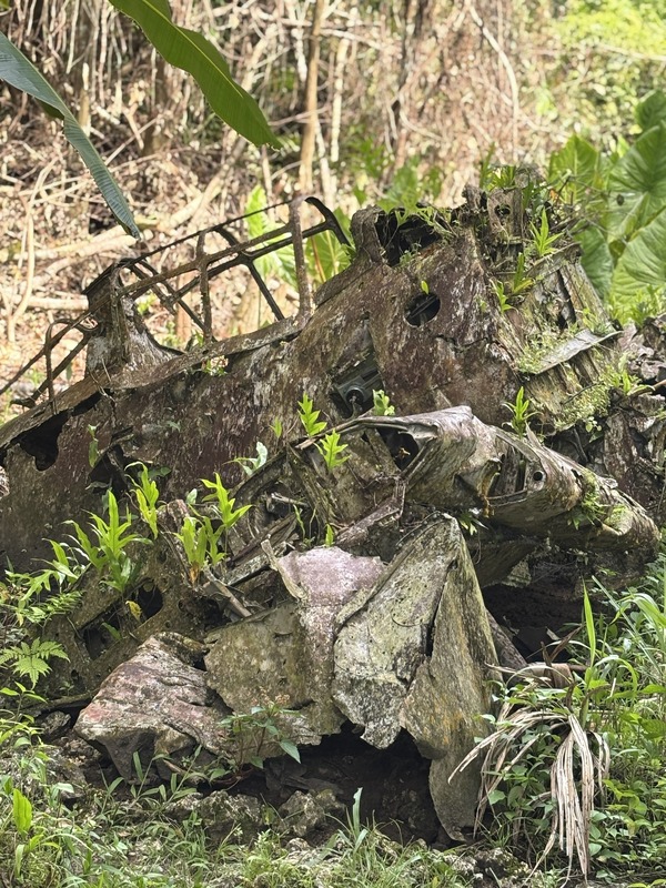 映画『ペリリュー －楽園のゲルニカ－』ペリリュー島、零式艦上戦闘機五二型 跡 写真