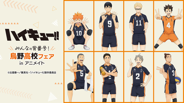 「ハイキュー!! みんなの背番号！烏野高校フェア in アニメイト」