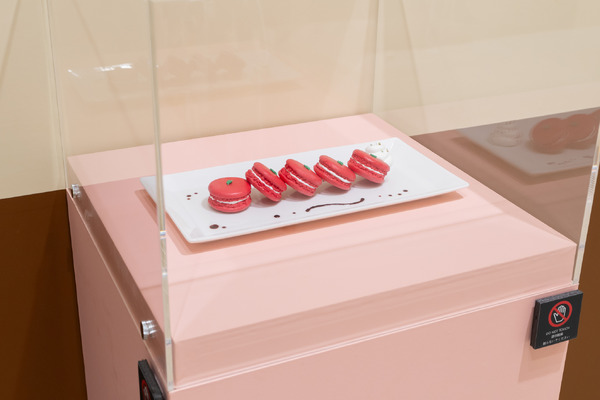 TVアニメ『SPY×FAMILY』特別企画展（C）遠藤達哉／集英社・SPY×FAMILY製作委員会