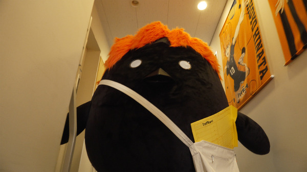 『一日限定!?ヒナガラスちゃんねる開局特番・アニメ『ハイキュー!!』10周年あざーっした!!祭』