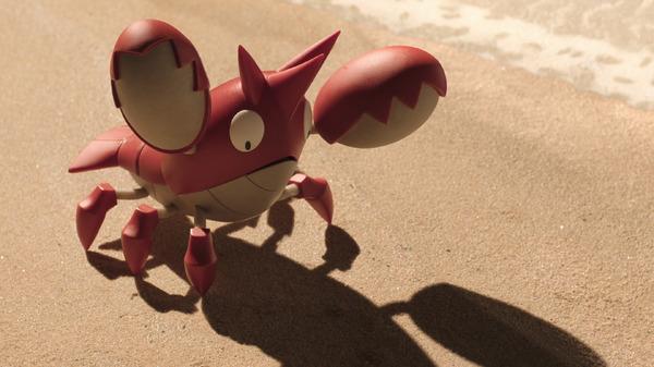 ビーチ沿いのヘイガニ