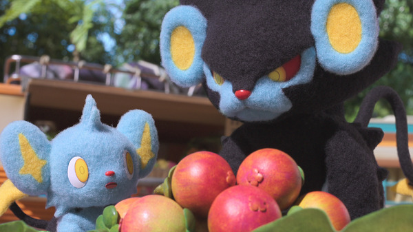 きのみが気になるコリンク、レントラー