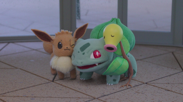 3匹でぎゅっと寄り添うイーブイ、フシギダネ、マダツボミ