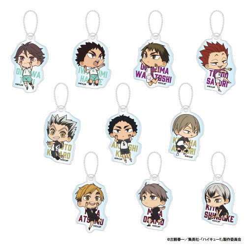 アクリルキーホルダーB（ランダム10種）