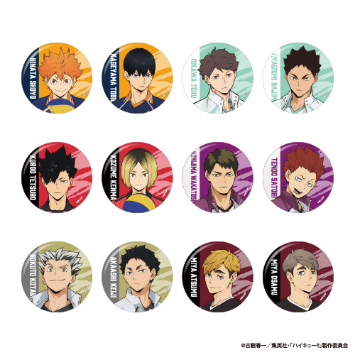 缶バッジ（ランダム12種）