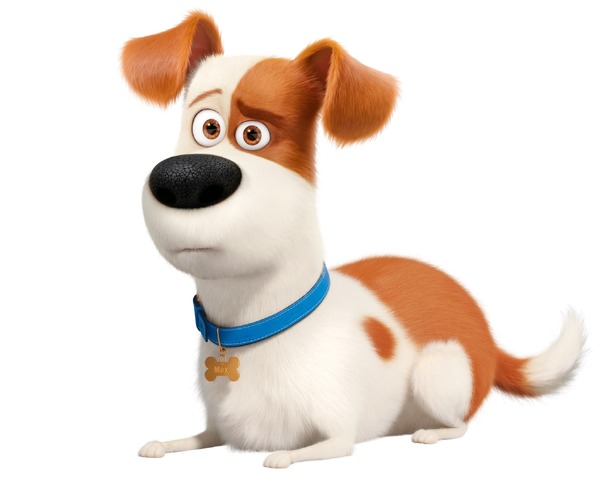 『ペット2』マックス(声:設楽統/バナナマン)