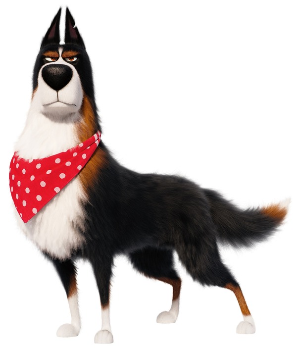 『ペット2』ルースター(声:内藤剛志)