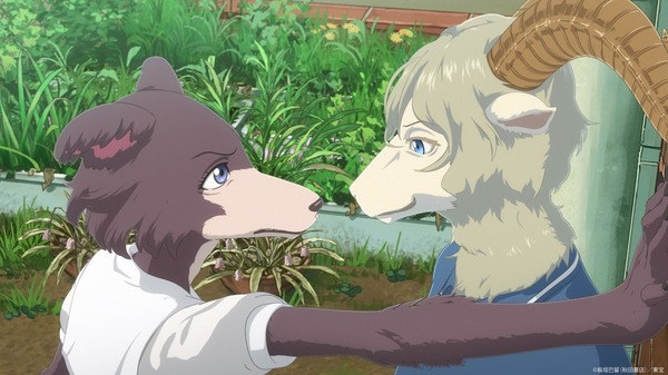 『BEASTARS FINAL SEASON』Part2ファーストルック