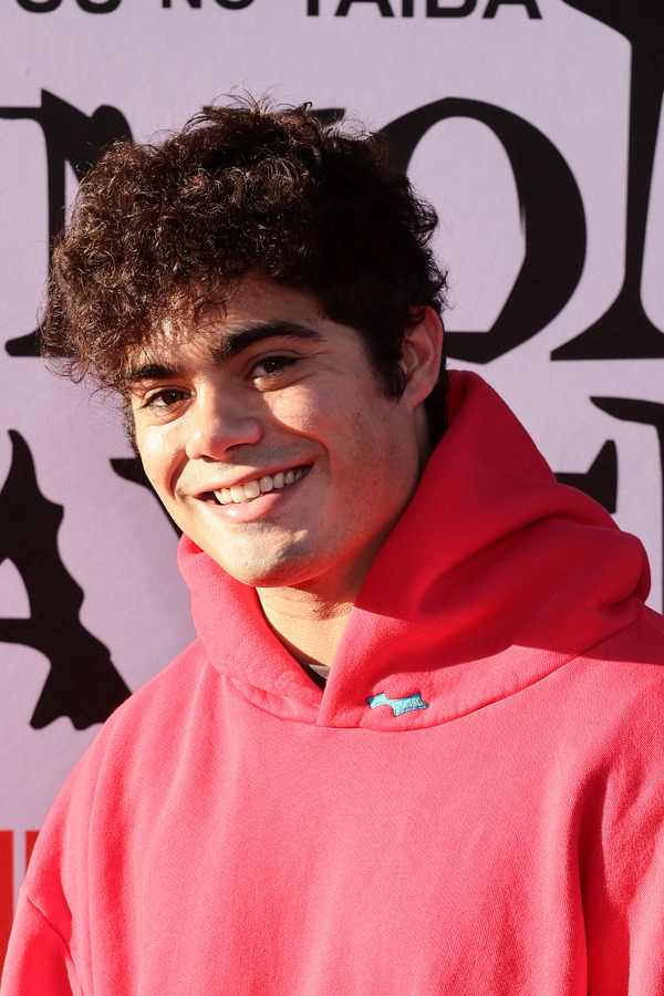 ハリウッドのTCLチャイニーズシアターにてプレミアイベントが実施