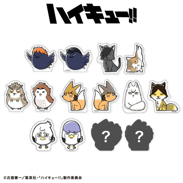 ランダムアクリルクリップ