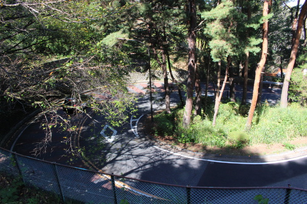 『耳をすませば』聖地・聖蹟桜ヶ丘