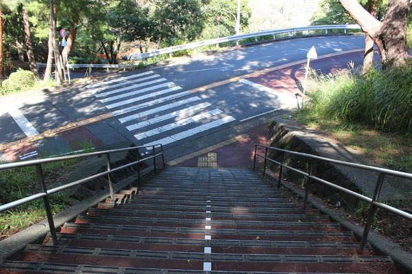 『耳をすませば』聖地・聖蹟桜ヶ丘