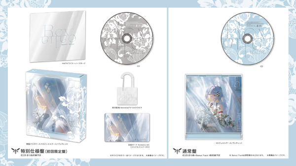 「Revealia」パッケージ展開図