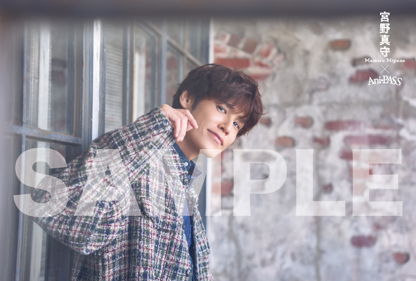 「Ani-PASS #31」ゲーマーズ特典