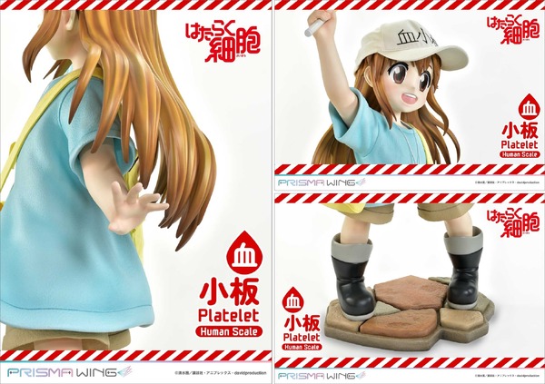 ライフスケールマスターライン　はたらく細胞 血小板