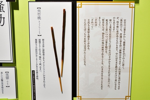 『薬屋のひとりごと』原作展