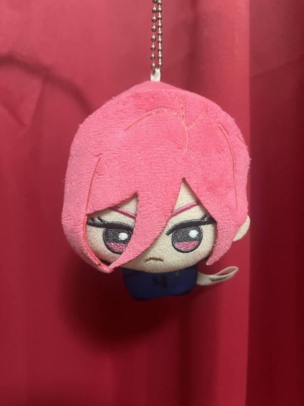 100均で推し活始め！ 最新「推し活」グッズ活用術  ダイソー編【暮らしの推し活手帳】