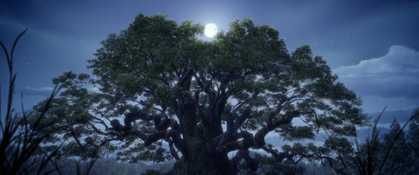 「クスノキの番人」新規場面写真