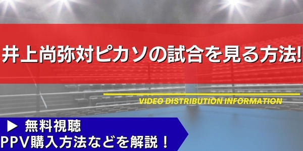 井上尚弥試合 配信情報