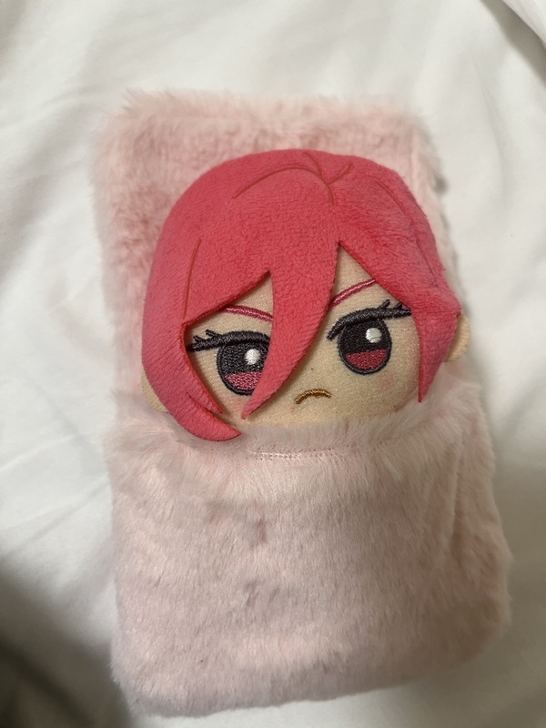 可愛すぎて優勝…！ぬい活グッズ