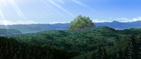 「クスノキの番人」新規場面写真