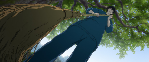 「クスノキの番人」新規場面写真