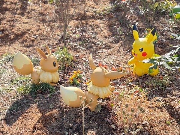 あちこちでピカチュウとイーブイが遊んでいます