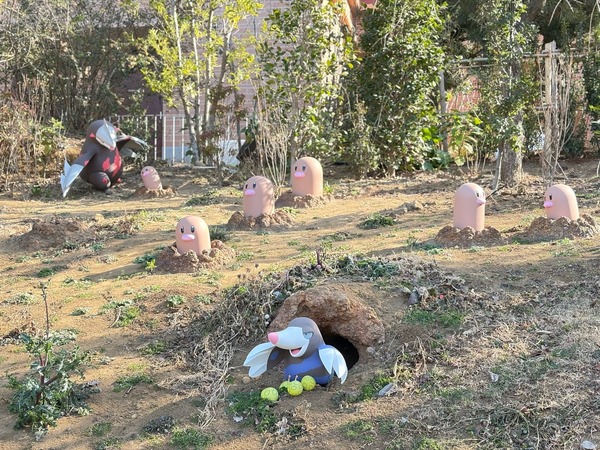 「ディグダもくどう」