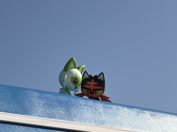 屋根の上にいるのは、ニャオハとニャビーでした