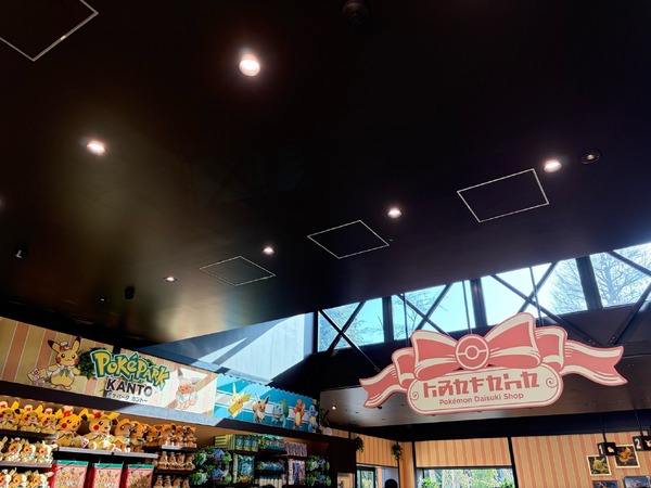 自然光はが入り込む優しい雰囲気の店内