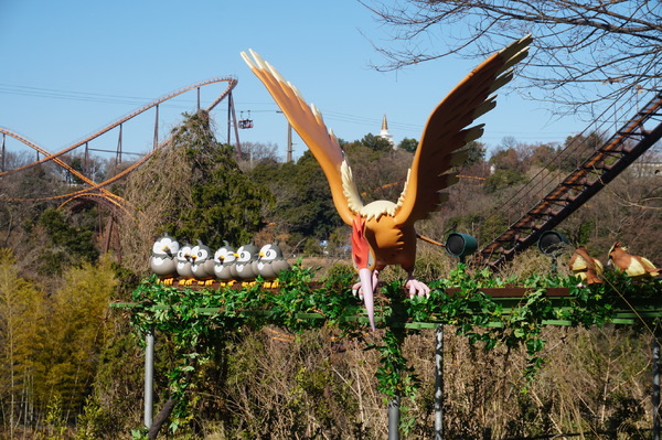 飛行ポケモンたちは頭上にいます