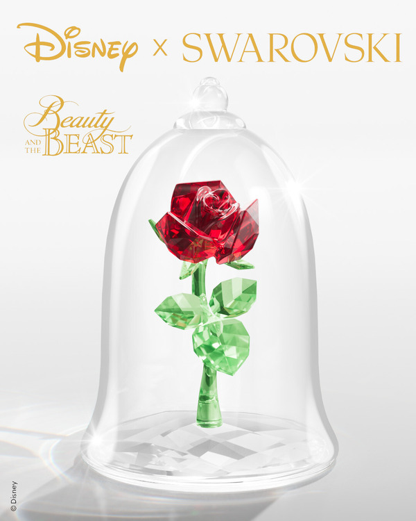 魔法のバラ 29,700円