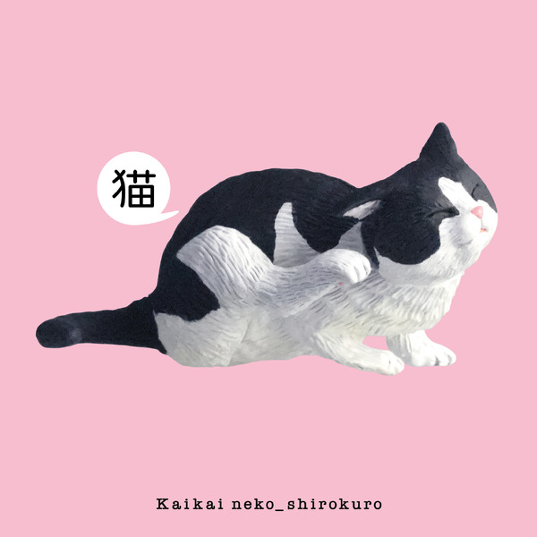 白黒：サイズ（H29×W54mm）